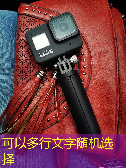 jogos online cassino e bingo