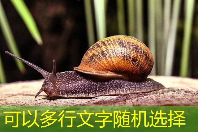 jogos de bingo cassino brail