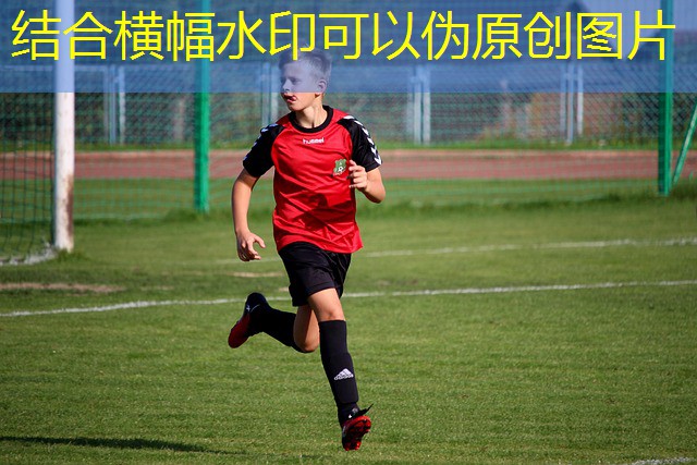 quanto custa jogar no cassino no navio quanto custa jogar no cassino no navio