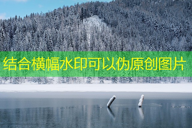 sinônimo de jogos.cassino