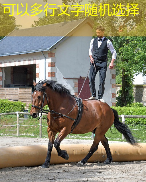 como desenvolver jogos de cassino