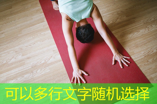 jogo de cassino do coelho