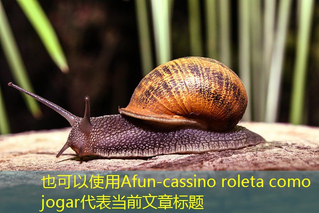 cassino roleta como jogar