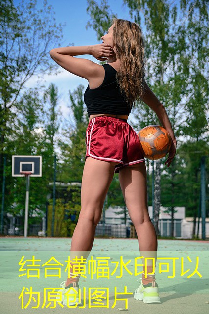 melhor plataforma para jogar cassino