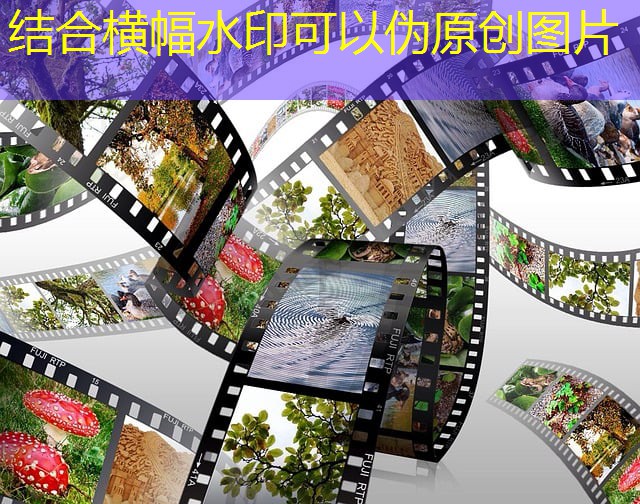 jogo do gatinho cassino