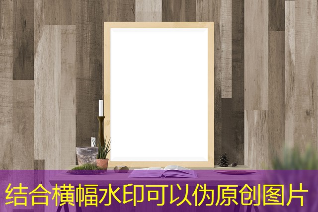 jogo do sapinho cassino