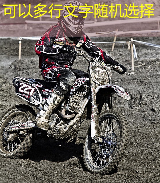 jogar bingo gratis e caça niguis no cassino brasil